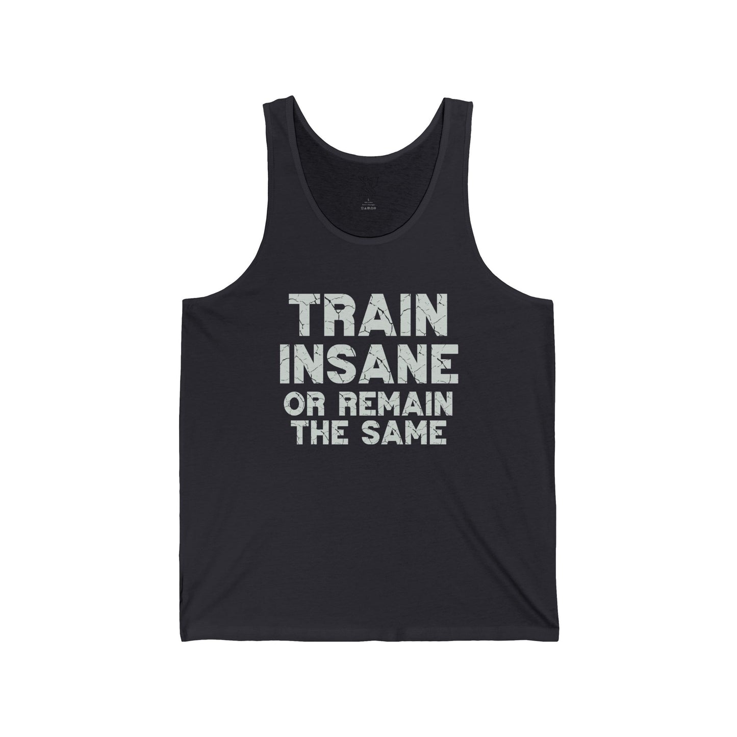 "Train Insane or Remain the Same" CW2 - Gray Unisex Fitness Motivational Tank Gym Workout Shirt, Fitness Top, Casual Summer Wear, Gift for Athletes