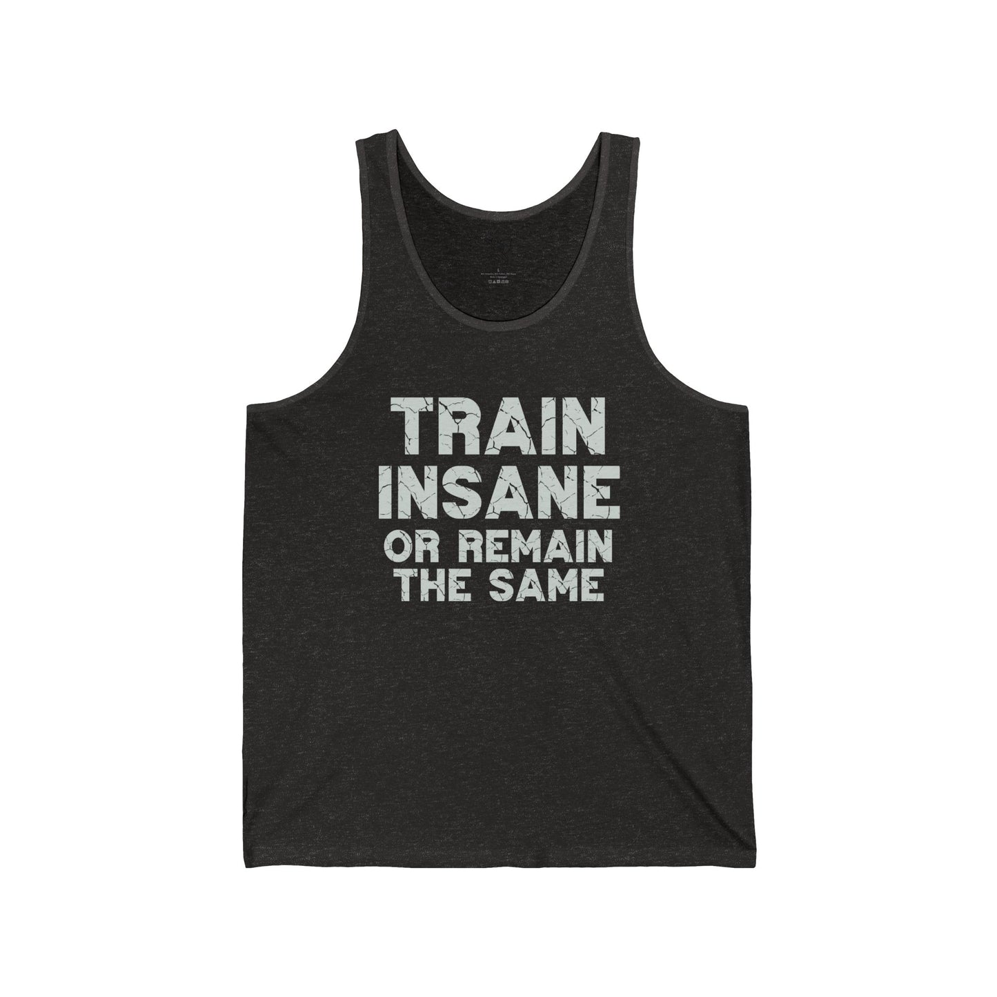 "Train Insane or Remain the Same" CW2 - Gray Unisex Fitness Motivational Tank Gym Workout Shirt, Fitness Top, Casual Summer Wear, Gift for Athletes